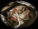 elcamino002